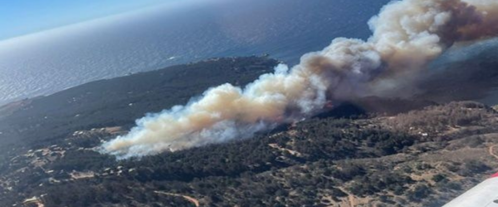 Declaran alerta roja en comunas chilenas por incendios forestales  