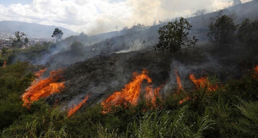 Más de 6.000 incendios forestales afectaron 216.000 hectáreas en 2024