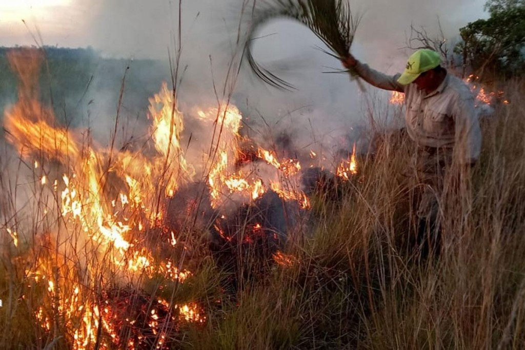 Incendios en Corrientes: sequía, cambio climático y desidia política