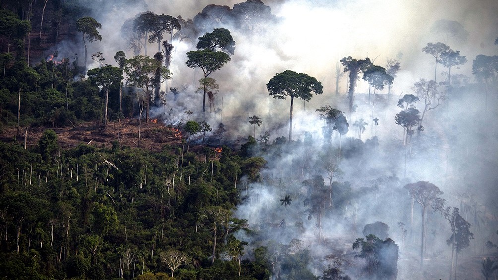 Nuevo récord en la deforestación de la Amazonia brasileña