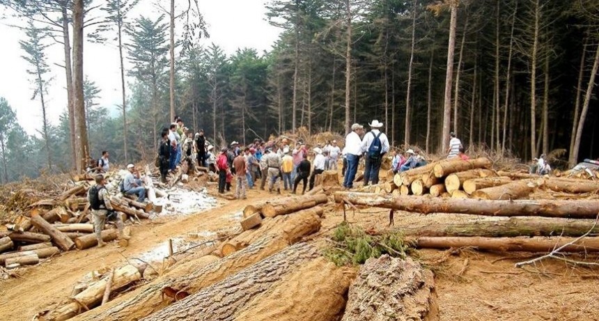 Comunidades en resistencia de la sierra de las minas emitieron un comunicado