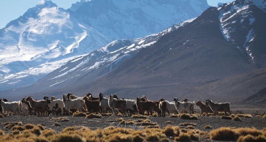 El Gobierno de Mendoza desconoce al Pueblo Mapuche para abrir paso a las petroleras