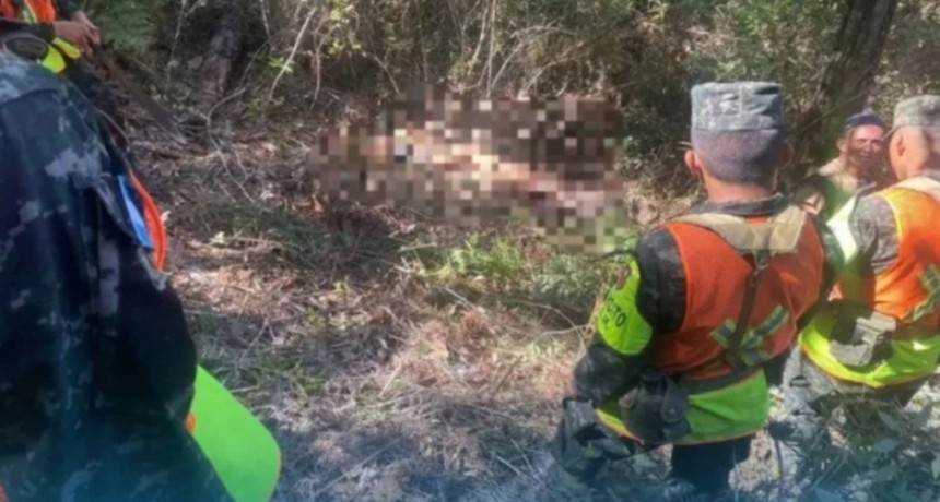 Asesinan a padre e hijo en Honduras cuando documentaban la tala ilegal de árboles