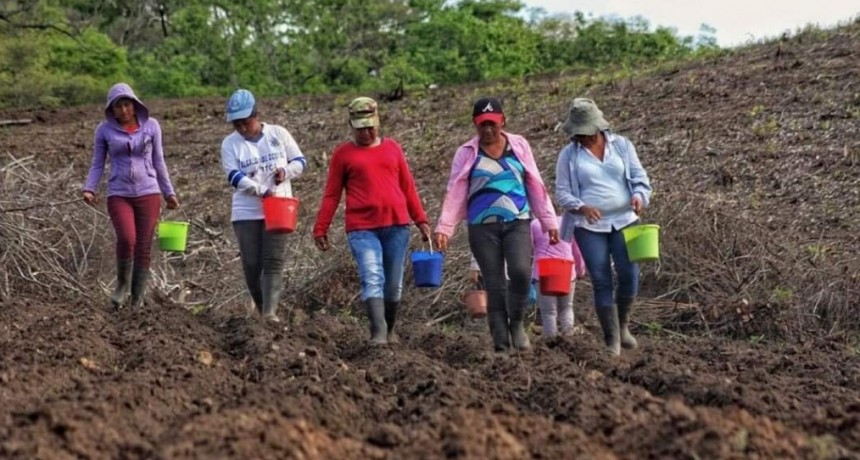 UNA MIRADA A LAS MUJERES RURALES DEL TRIÁNGULO NORTE