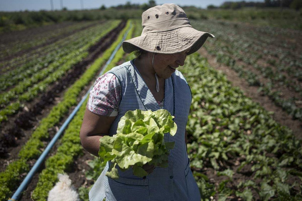 Congreso de Agroecología de los Pueblos, del monocultivo a la biodiversidad