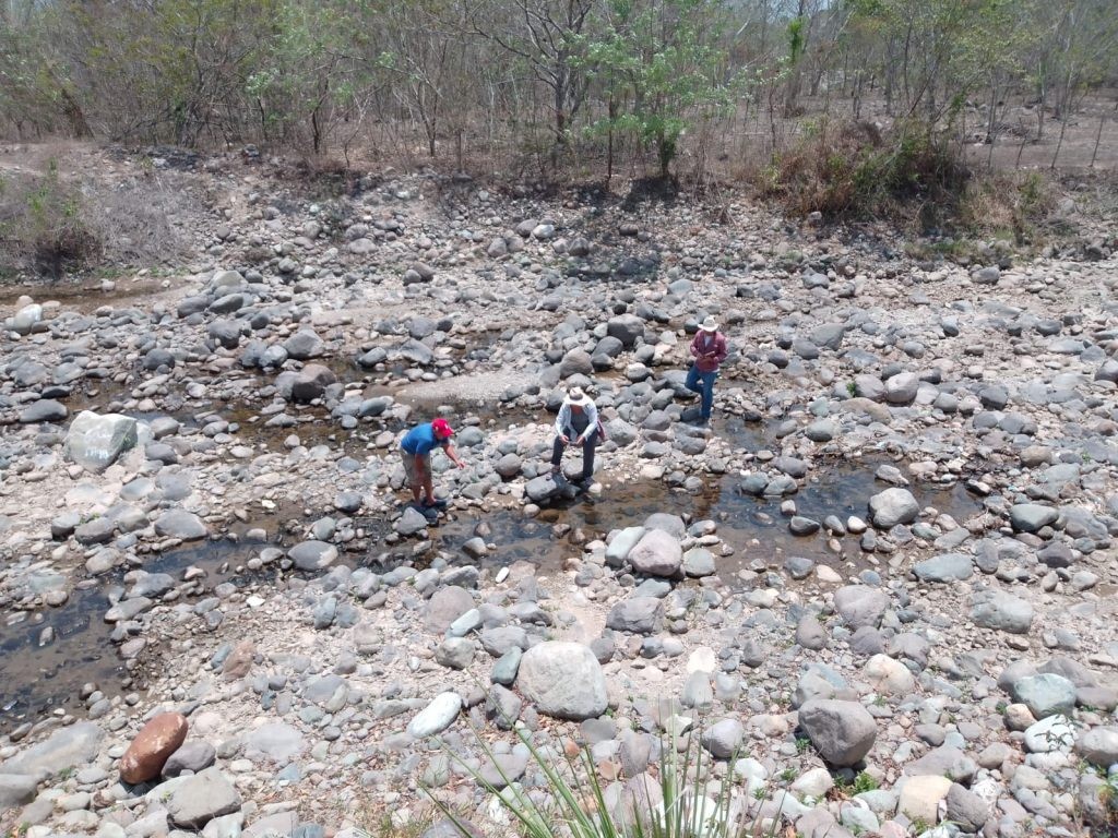 ¿Dónde está el agua del río Guapinol? Habitantes de Tocoa, Colón encienden alarma comunitaria