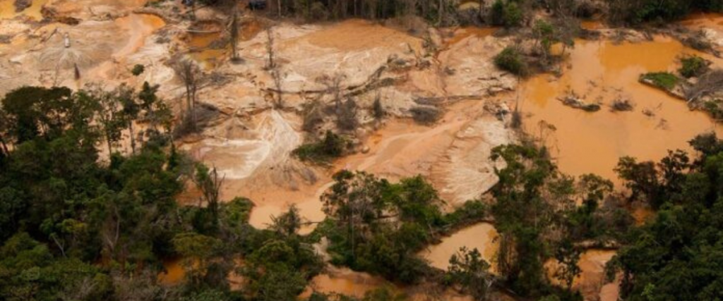 ONG denuncian la falta de políticas públicas efectivas para abordar la “crisis ambiental”