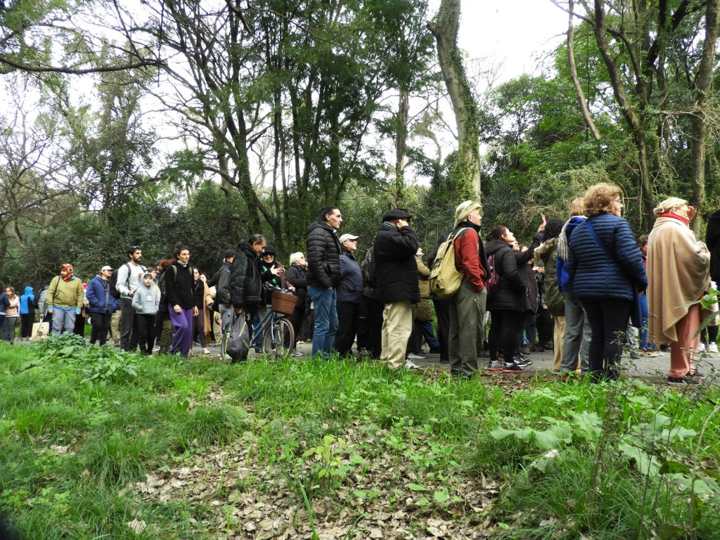 Caminata y visita al bosque de Santa Catalina