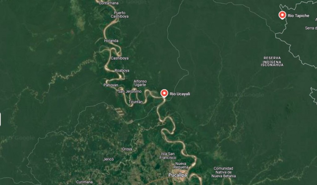 Deforestación origina pérdida de más del 70% de la Amazonía peruana