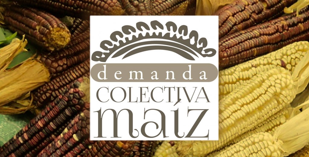 DEMANDA COLECTIVA MAÍZ