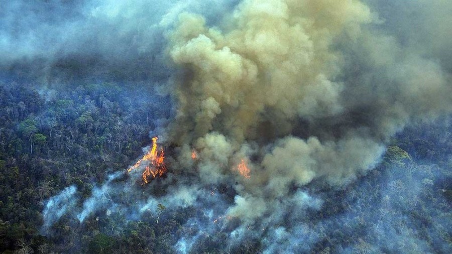 Un récord en 12 años: la Amazonia brasileña registró 33.316 focos de incendio en agosto