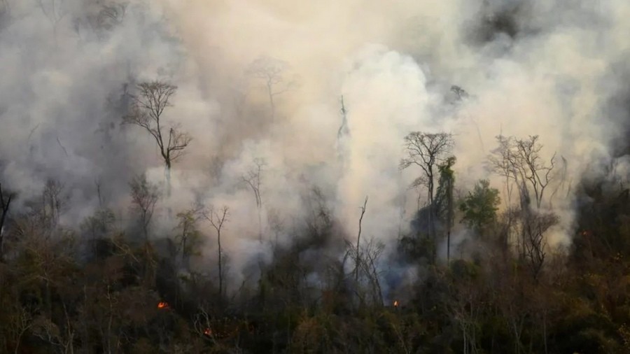 Brigadistas luchan contra el fuego en las yungas del Parque Nacional Calilegua