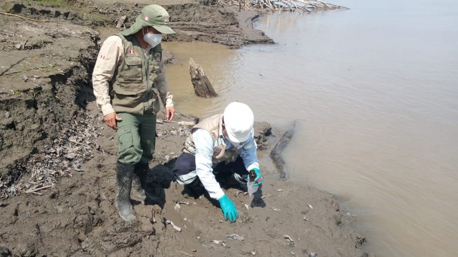 Perú declaró el estado de emergencia en la zona de Amazonía por un derrame de petróleo
