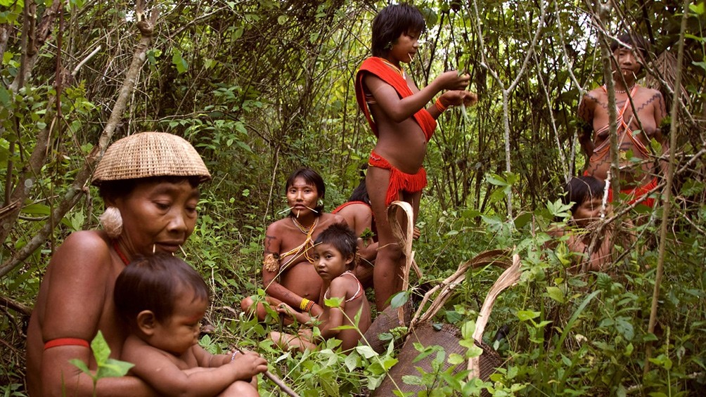 El máximo tribunal de Brasil falló a favor de indígenas sobre tierras ancestrales