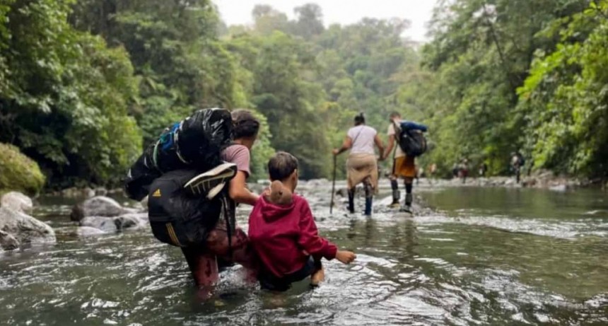 Conforman el Observatorio de Movilidad Humana del Darién