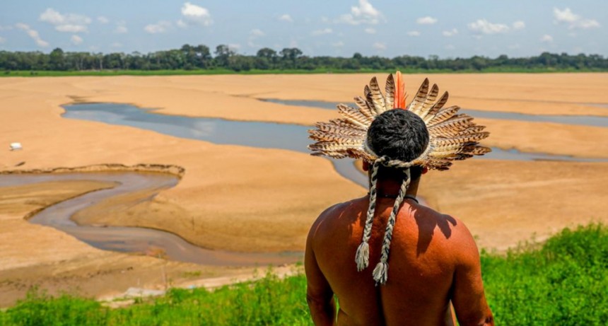 Sequía en la Amazonía: acción humana, devastación, fenómenos naturales y crisis climática