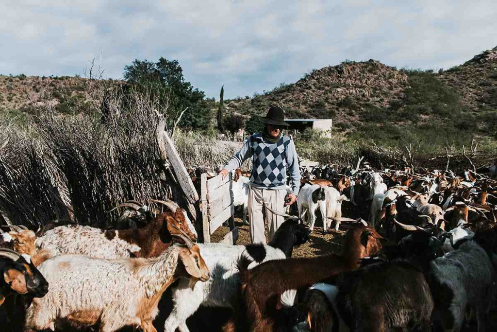 Mendoza avanza contra campesinos e indígenas: entre el remate de tierras fiscales y proyectos mineros