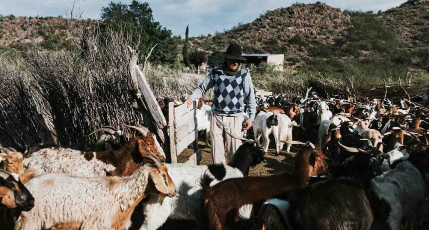 Mendoza avanza contra campesinos e indígenas: entre el remate de tierras fiscales y proyectos mineros