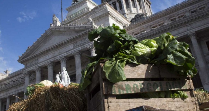 “El primer año de Milei fue una burla a la agricultura familiar” 